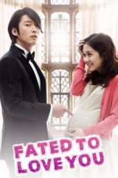 Nonton Film Fated to Love You (2014) Sub Indo