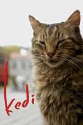 Nonton Film Kedi (2017) Sub Indo