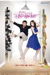 Nonton Film The Accidental Couple (2009) Sub Indo