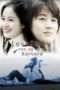 Nonton Film Love Story in Harvard (2004) Sub Indo