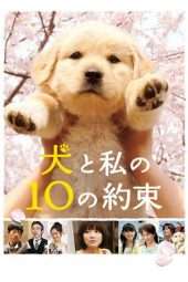 Nonton Film 10 Promises to My Dog (2008) Sub Indo