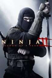 Nonton Film Ninja: Shadow of a Tear (2013) Sub Indo