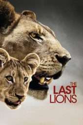 Nonton Film The Last Lions (2011) Sub Indo