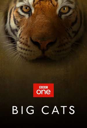 Nonton Big Cats Season 01 (2018) Sub Indo