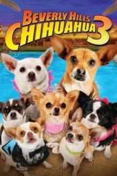 Nonton Film Beverly Hills Chihuahua 3 – Viva La Fiesta! (2012) Sub Indo