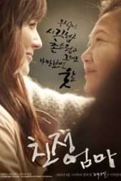 Nonton Film A Long Visit (2010) Sub Indo