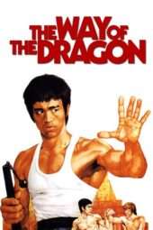 Nonton Film The Way of the Dragon (1972) Sub Indo