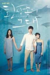 Nonton Film Dear Dolphin (2013) Sub Indo