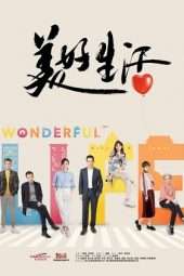 Nonton Film Wonderful Life (2018) Sub Indo