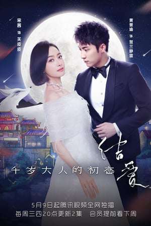 Nonton The Love Knot: His Excellency’s First Love (2018) Sub Indo