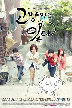 Nonton My Dear Cat (2014) Sub Indo