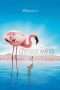 Nonton Film The Crimson Wing: Mystery of the Flamingos (2008) Sub Indo