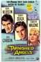 Nonton Film The Tarnished Angels (1957) Sub Indo