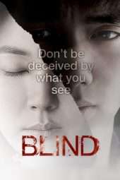 Nonton Film Blind (2011) gt Sub Indo