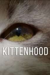 Nonton Film Kittenhood (2014) Sub Indo