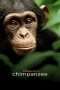 Nonton Film Chimpanzee (2012) Sub Indo