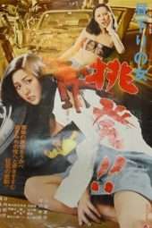 Nonton Film Woman of the Afternoon: Incite! (1979) Sub Indo