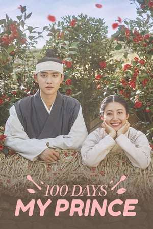 Nonton 100 Days My Prince (2018) Sub Indo