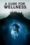 Nonton Film A Cure for Wellness (2016) Sub Indo