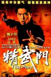 Nonton Film Fist of Fury (1995) Sub Indo