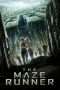 Nonton Film The Maze Runner (2014) Sub Indo