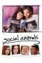 Nonton Film Social Animals (2018) Sub Indo