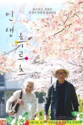 Nonton Film Life is Fruity (2017) Sub Indo