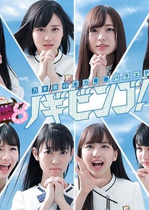 Nonton NogiBingo S08 (2017) Sub Indo