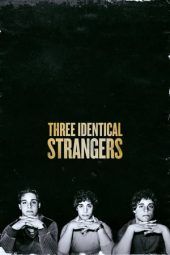 Nonton Film Three Identical Strangers (2018) Sub Indo