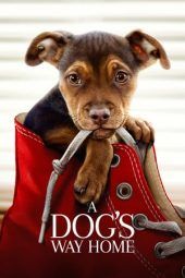 Nonton Film A Dog’s Way Home (2019) Sub Indo