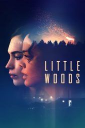 Nonton Film Little Woods (2018) Sub Indo