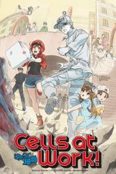 Nonton Film Cells at Work! (2018) Sub Indo