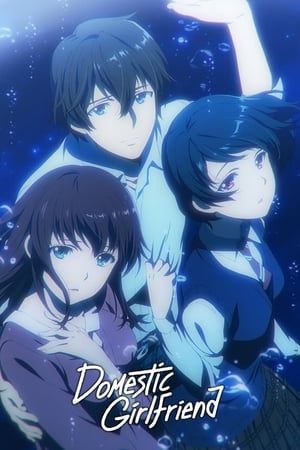 Nonton Domestic na Kanojo (2019) Sub Indo