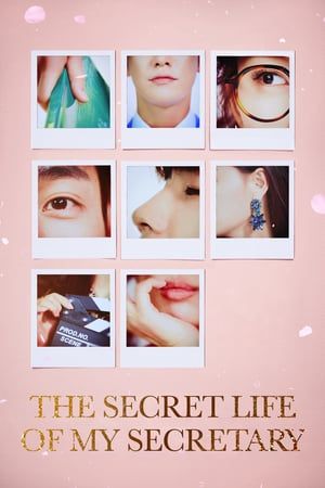 Nonton The Secret Life of My Secretary (2019) Sub Indo