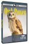 Nonton Film Owl Power (2015) Sub Indo