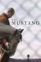 Nonton Film The Mustang (2019) Sub Indo