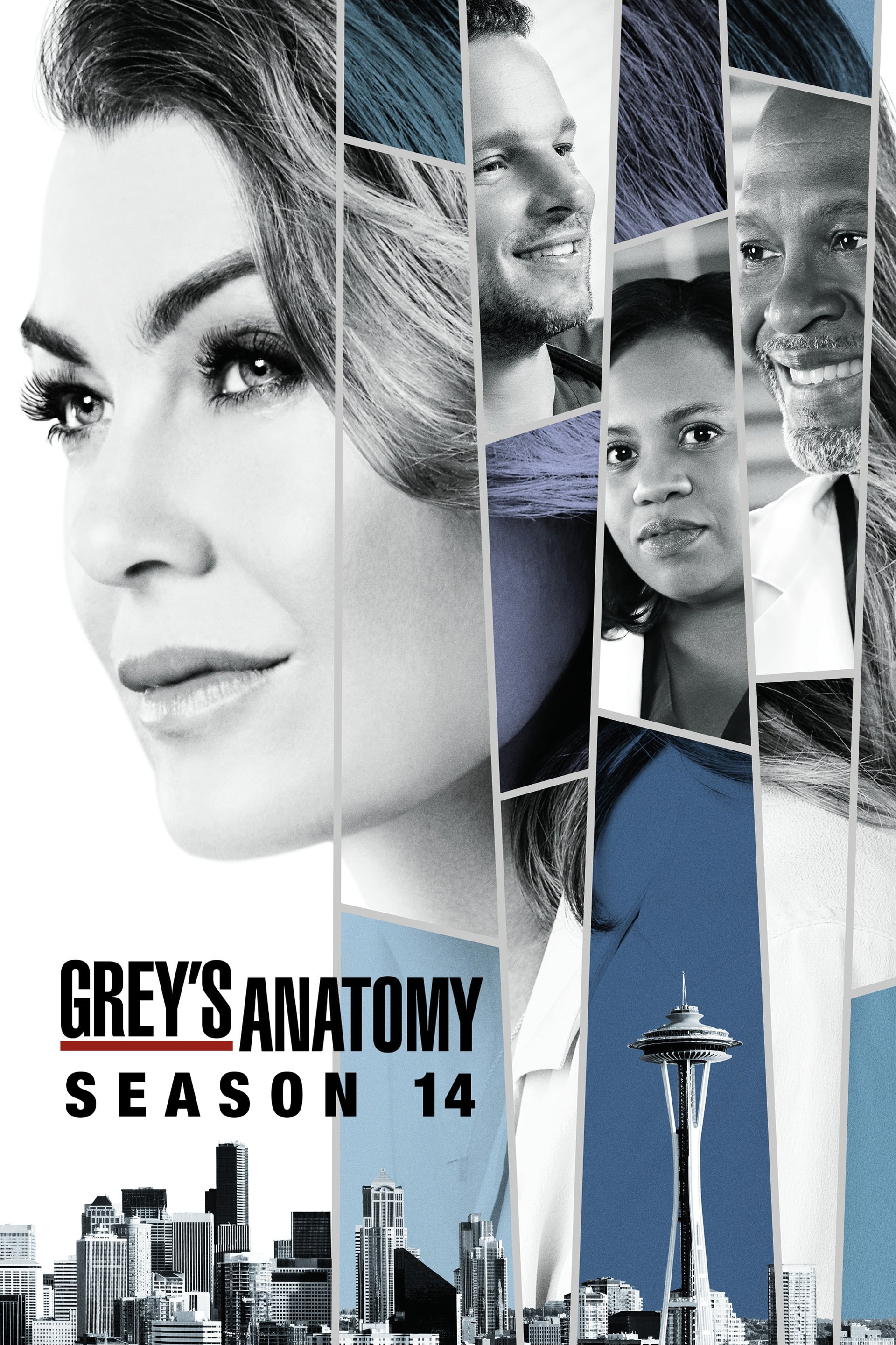 Nonton Grey’s Anatomy Season 14 (2017) Sub Indo