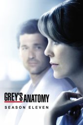 Nonton Film Grey’s Anatomy Season 11 (2014) Sub Indo