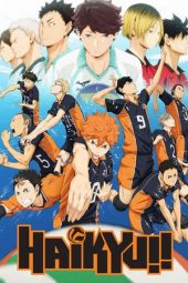 Nonton Film Haikyuu!! (2014) Sub Indo