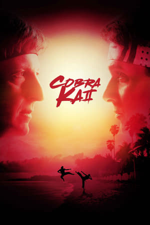 Nonton Cobra Kai Season 02 (2019) Sub Indo