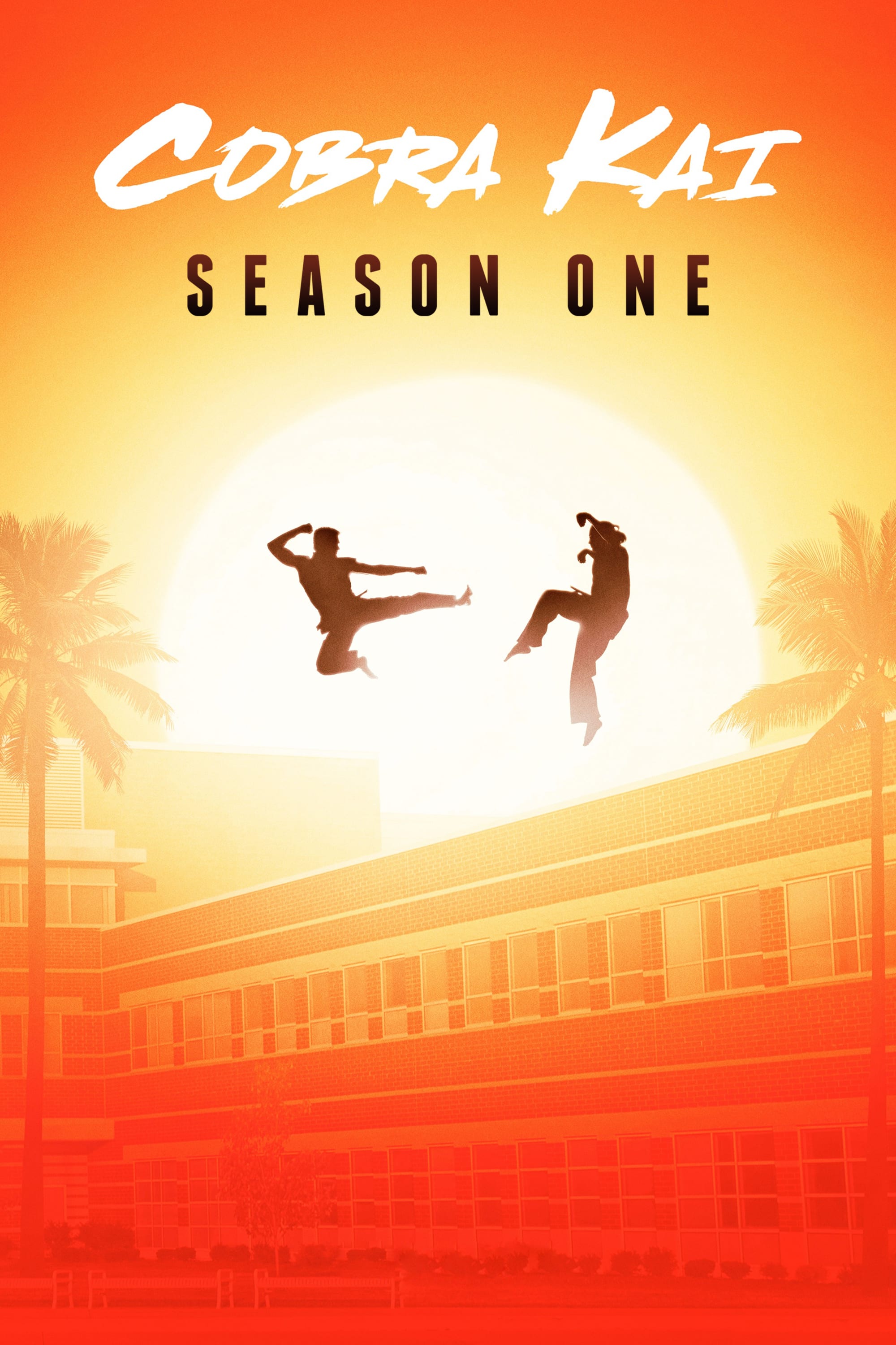 Nonton Cobra Kai Season 01 (2018) Sub Indo