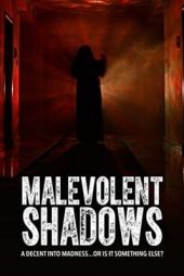 Nonton Film Malevolent Shadows (2017) Sub Indo