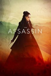 Nonton Film The Assassin (2015) Sub Indo