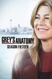 Nonton Film Grey’s Anatomy Season 15 (2018) Sub Indo