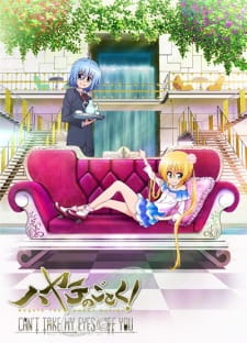 Nonton Hayate no Gotoku! Can’t Take My Eyes Off You (2012) Sub Indo