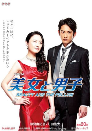 Nonton Beauty and the Fellow / Bijo To Danshi (2015) Sub Indo