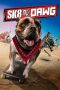 Nonton Film Sk8 Dawg (2018) Sub Indo Nonton Film Sk8 Dawg (2018) Sub Indo