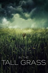 Nonton Film In the Tall Grass (2019) Sub Indo