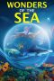 Nonton Film Wonders of the Sea 3D (2017) Sub Indo