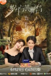 Nonton Film Symphony’s Romance (2020) Sub Indo